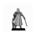 Unreleased Miniatures Noble Elves Commander 2