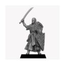 Unreleased Miniatures Noble Elves Kingsguards Set 1 10