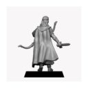 Unreleased Miniatures Noble Elves Kingsguards Set 1 5