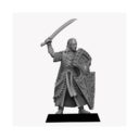 Unreleased Miniatures Noble Elves Kingsguards Set 1 6