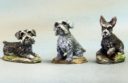 DSM Miniature Schnauzers #2 – 3 Pack 1