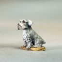 DSM Miniature Schnauzers #2 – 3 Pack 7