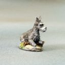 DSM Miniature Schnauzers #2 – 3 Pack 8