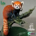 RRM The Red Panda 1