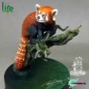 RRM The Red Panda 2