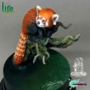 RRM The Red Panda 4