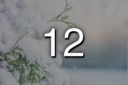 Adventskalender 12