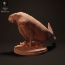 Animal Den Miniatures April Patreon 46