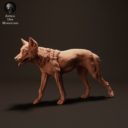 Animal Den Miniatures April Patreon 7