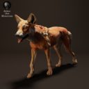 Animal Den Miniatures April Patreon 9