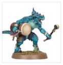 GW Armeeset Der Seraphon 4