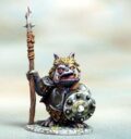 DSM Lesser Goblin With Spear Shield 1