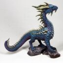 DSM Platinum Dragon 5