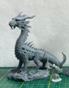 DSM Platinum Dragon 7