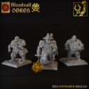 TF Bloodsail Ogres 13