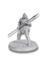 CS Celestial Affinity Humankind Spearmen Warrior 2