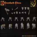 TF Everdark Elves 20