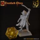 TF Everdark Elves 22