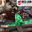 Red Lion 2024 25
