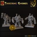 TF Norse And Gnomes 11