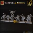 TF Warriors & Gnomes 7
