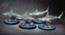 AntiMatter Games Painted Gray Whaler Sharks 1
