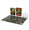 Games Workshop WARHAMMER AGE OF SIGMAR EINSTEIGERSET