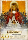 Labyrinth Preview 1