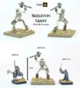 Alternative Armies Skeleton Giant 2