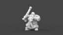 DPF Dwarf Lord 9