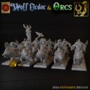 TF Wolf Order And Orcs 10