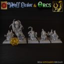 TF Wolf Order And Orcs 12