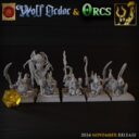 TF Wolf Order And Orcs 13