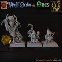 TF Wolf Order And Orcs 14