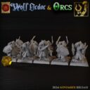 TF Wolf Order And Orcs 17