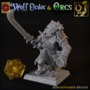 TF Wolf Order And Orcs 3