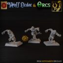 TF Wolf Order And Orcs 5