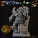 TF Wolf Order And Orcs 9