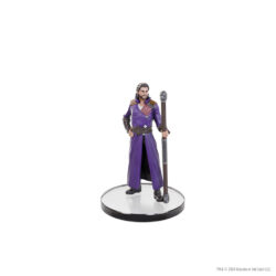 WizKids D&D ICONS OF THE REALMS BALDUR'S GATE 3 CHARACTER BOXED SET | CHARACTERS FROM BG3 3