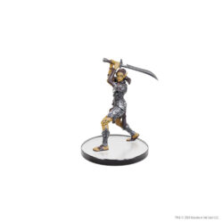 WizKids D&D ICONS OF THE REALMS BALDUR'S GATE 3 CHARACTER BOXED SET | CHARACTERS FROM BG3 5