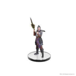 WizKids D&D ICONS OF THE REALMS BALDUR'S GATE 3 CHARACTER BOXED SET | CHARACTERS FROM BG3 6