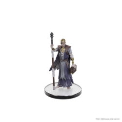 WizKids D&D ICONS OF THE REALMS BALDUR'S GATE 3 CHARACTER BOXED SET | CHARACTERS FROM BG3 8