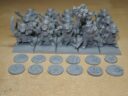 Diehard Miniatures Hardbiffs Renowned Regiment 3