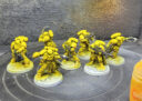 Projekt Imperial Fists 1