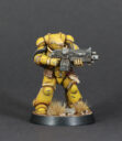 Projekt Imperial Fists 10