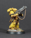 Projekt Imperial Fists 12