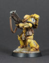 Projekt Imperial Fists 13