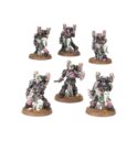 Games Workshop Champions Des Slaanesh Armeeset Der Emperor's Children 6